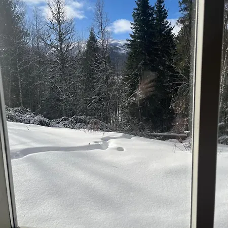 Fjellhytte Rauland * Austbo